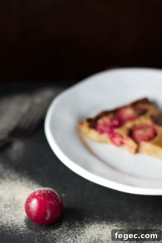 Easy Plum Clafoutis {gluten-free + refined sugar-free} | saltedplains.com