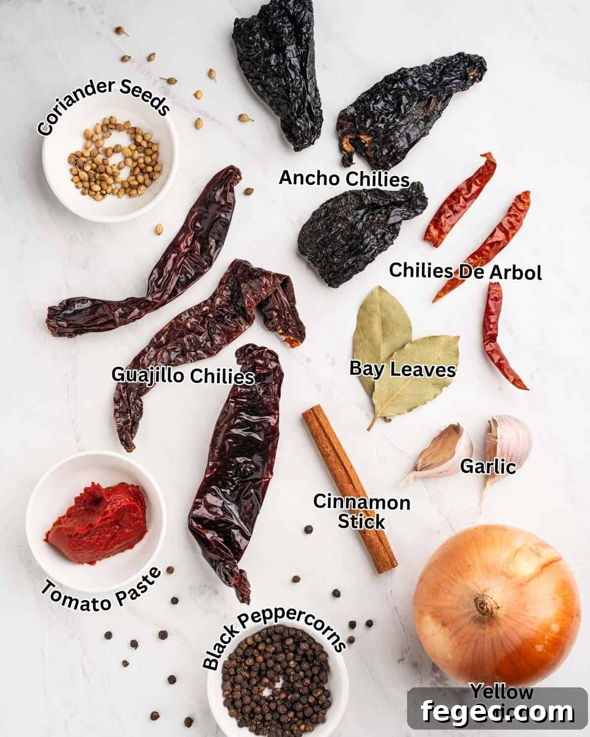 Labelled ingredients for Beef Birria: Chilies, cinnamon, bay leaves, garlic, onion, and spices.