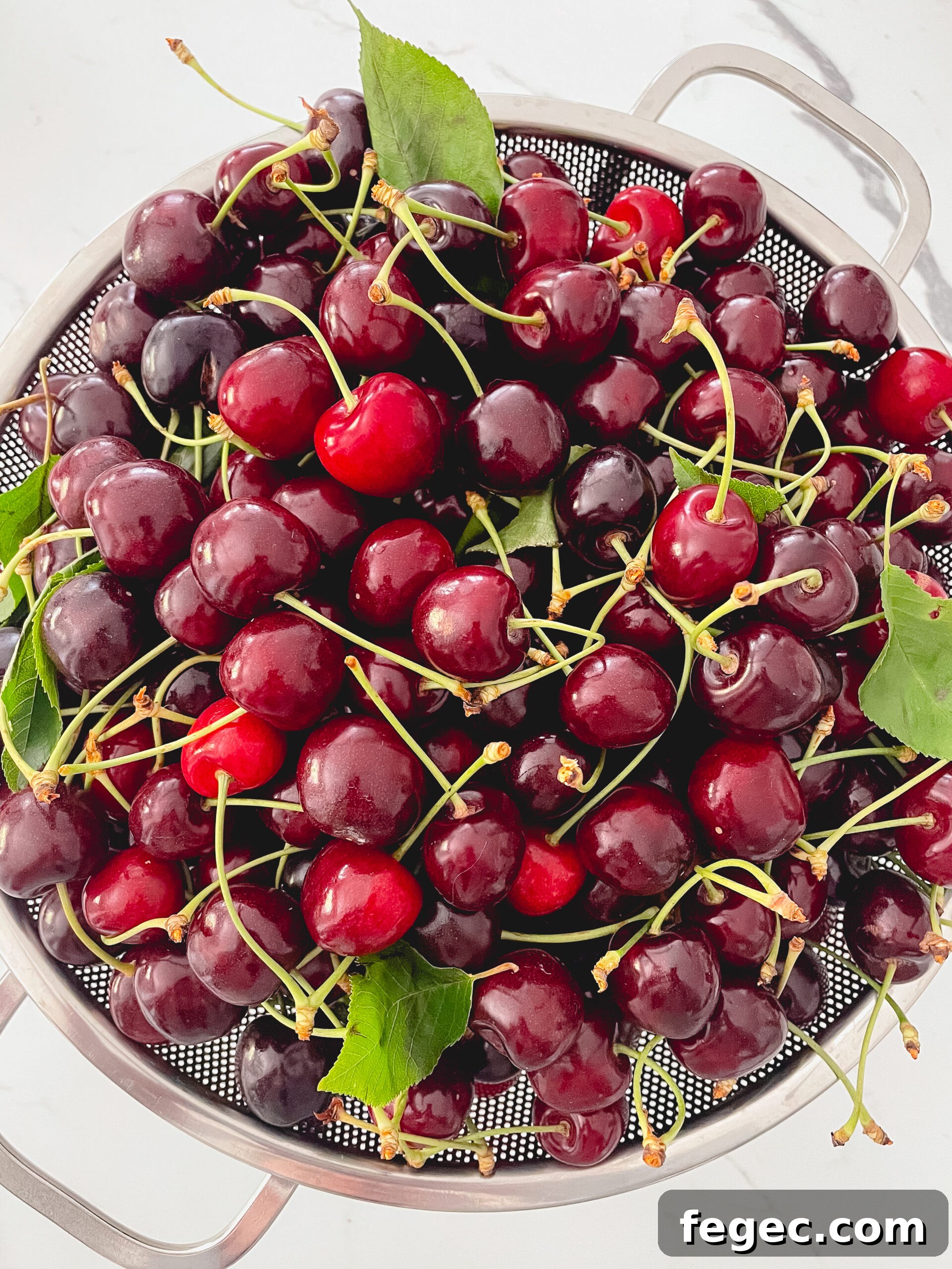 Fresh cherries