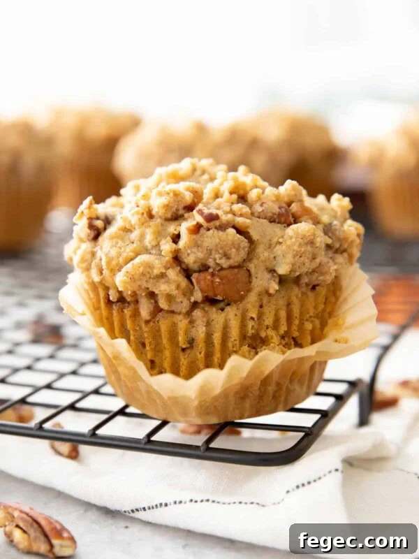 Closeup photo of cinnamon streusel muffin with the muffin liner peeled off